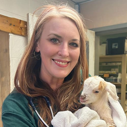 Dr. Alisan Parnes, Rabun County Veterinarian