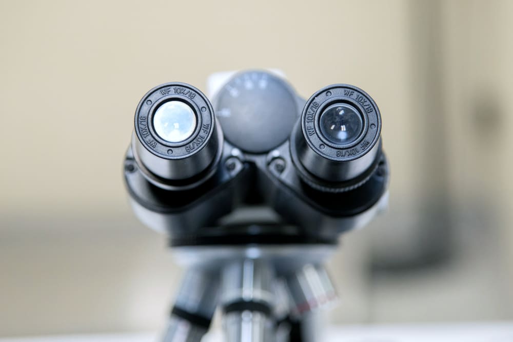 Rabun Animal Hospital | Rabun County Vet